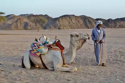 Кто такие бедуины: где и как живут, есть ли у них национальность?