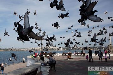 ����: vestikavkaza.ru