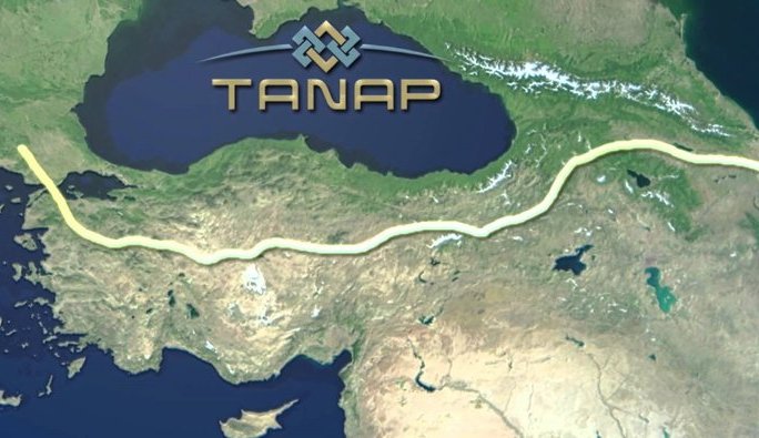    tanap     
