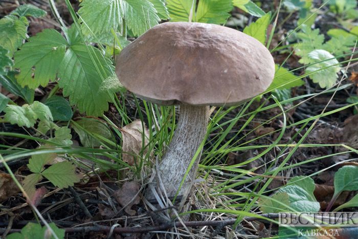  ����� ����� ���������� ������ ������������ 