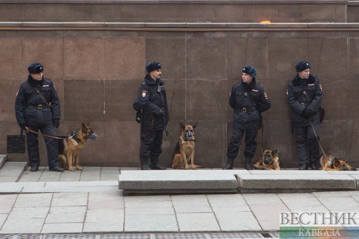 Фото: vestikavkaza.ru