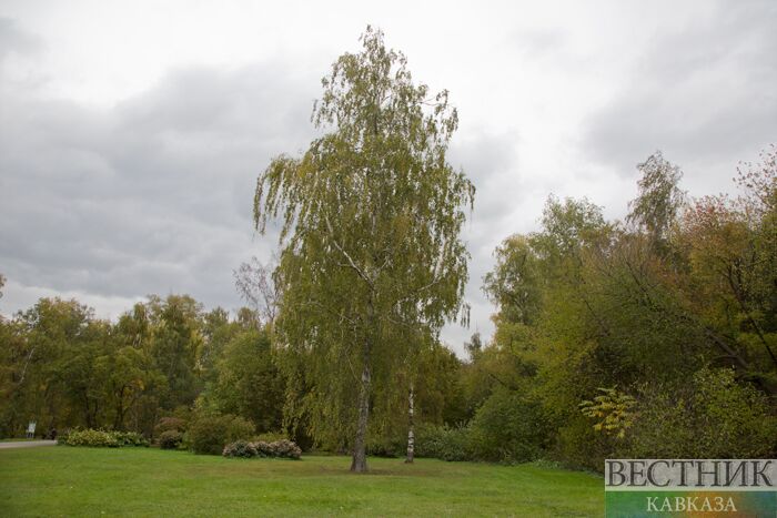 ����: vestikavkaza.ru