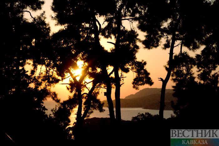  ������ ������������ �������� 