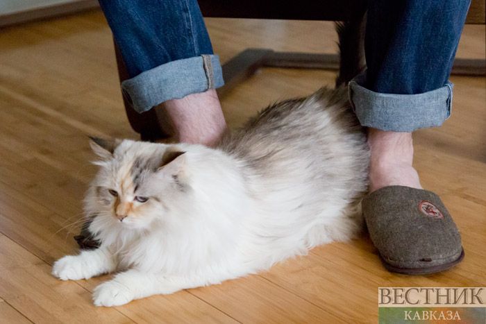  ����� ������� ��������� ���-�� ������������ 