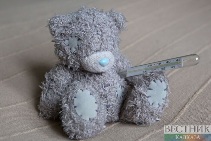 ����: vestikavkaza.ru