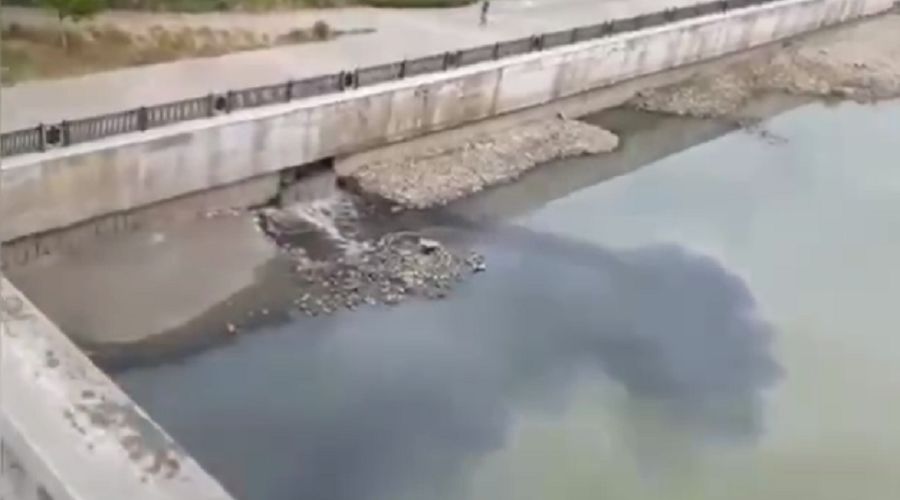 Загрязнение реки Кубань вылилось властям Краснодара в крупный штраф