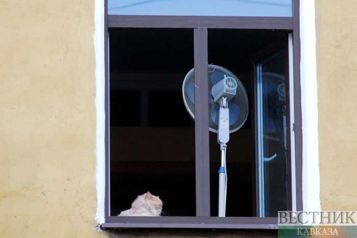 Фото: vestikavkaza.ru