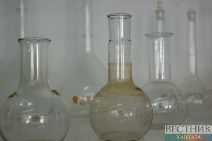 Фото: vestikavkaza.ru