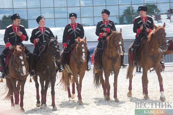 Фото: vestikavkaza.ru