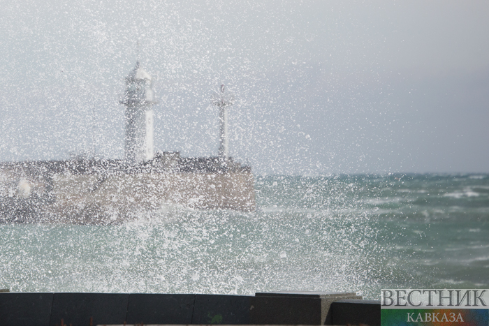 Фото: vestikavkaza.ru