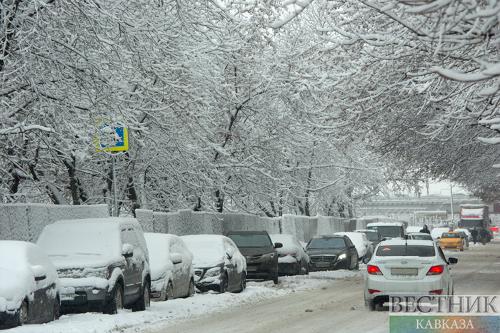 Фото: vestikavkaza.ru