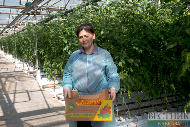 ����: vestikavkaza.ru