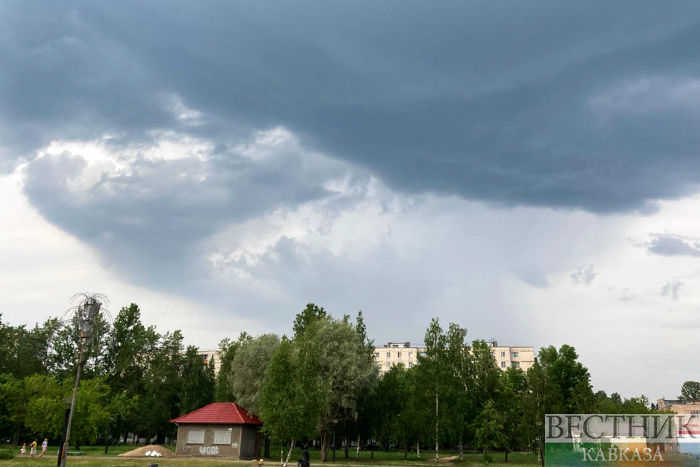 ����: vestikavkaza.ru