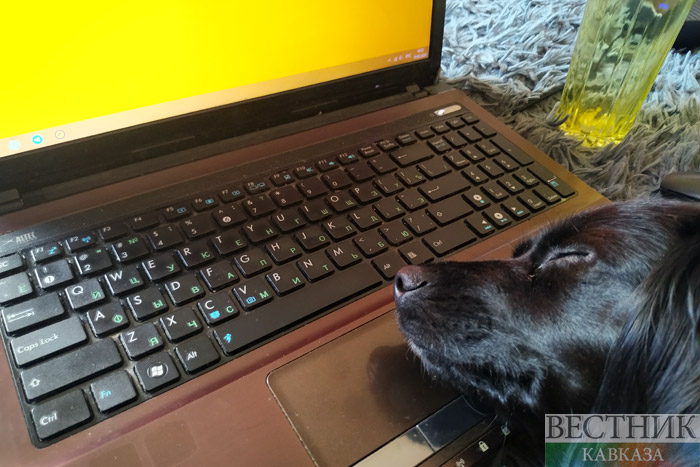 ����: vestikavkaza.ru