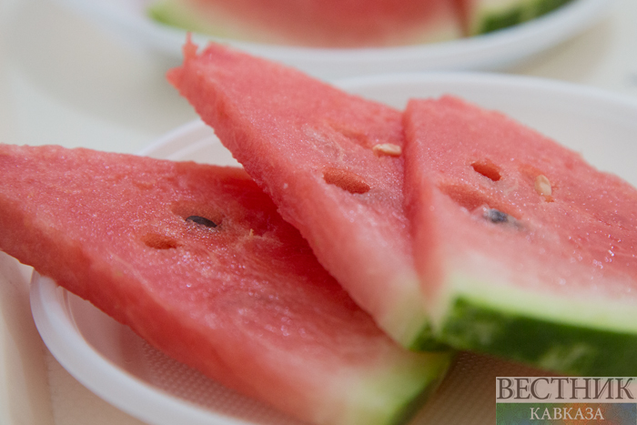 ����: vestikavkaza.ru