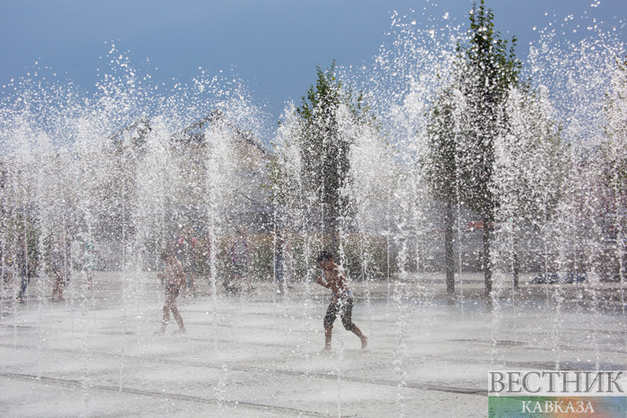 ����: vestikavkaza.ru