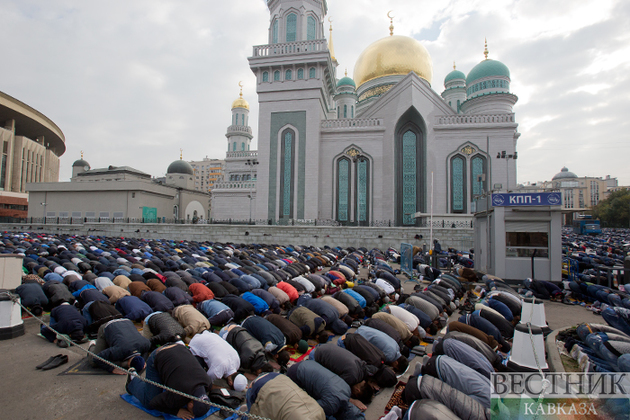 ����: vestikavkaza.ru
