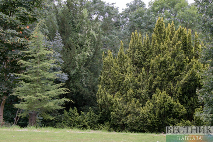  ��������� ����������� ������ ������ ������������ ��� �������� 