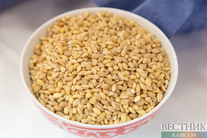 ����: vestikavkaza.ru