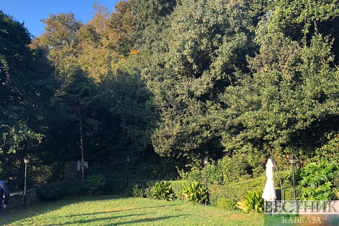 ����: vestikavkaza.ru