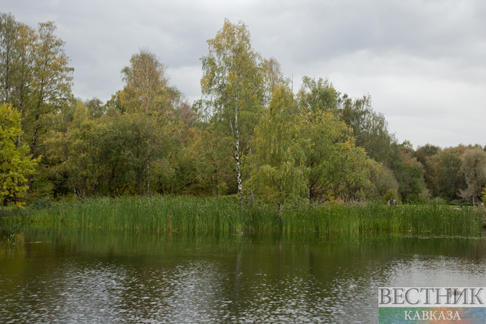 ����: vestikavkaza.ru