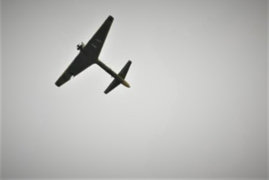 ����: vestikavkaza.ru