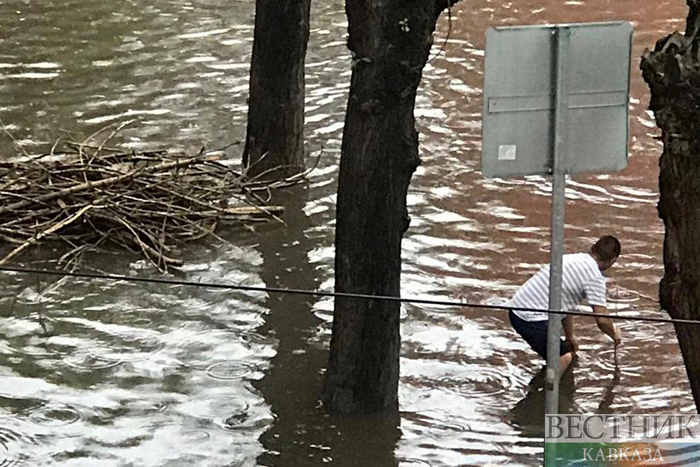  ���������� ����� ������ ����� 