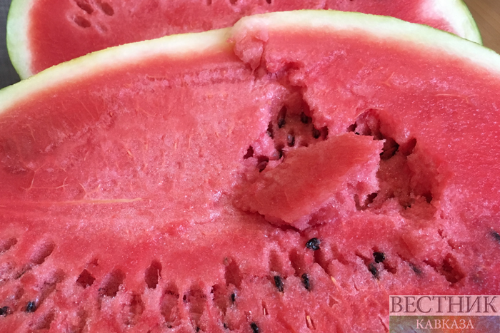 ����: vestikavkaza.ru