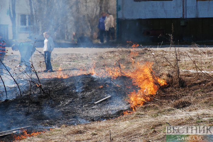 ����: vestikavkaza.ru