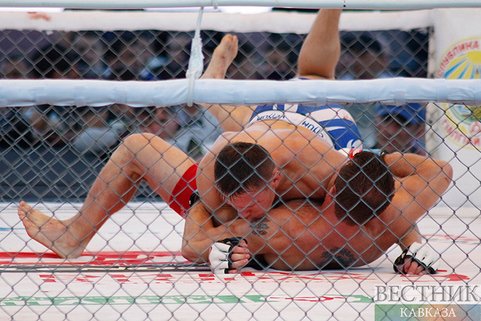  ���������� ����� ��� ������ ��������� ufc 