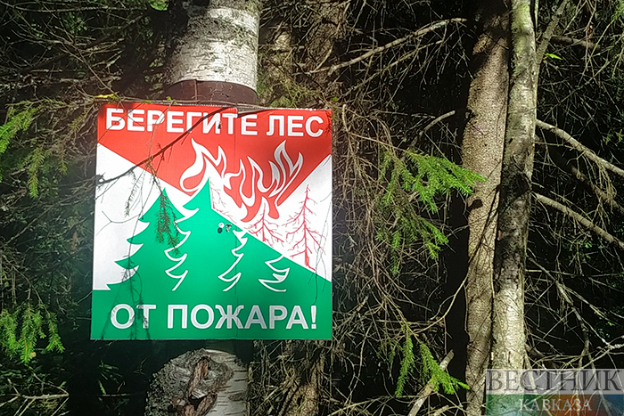 ����: vestikavkaza.ru