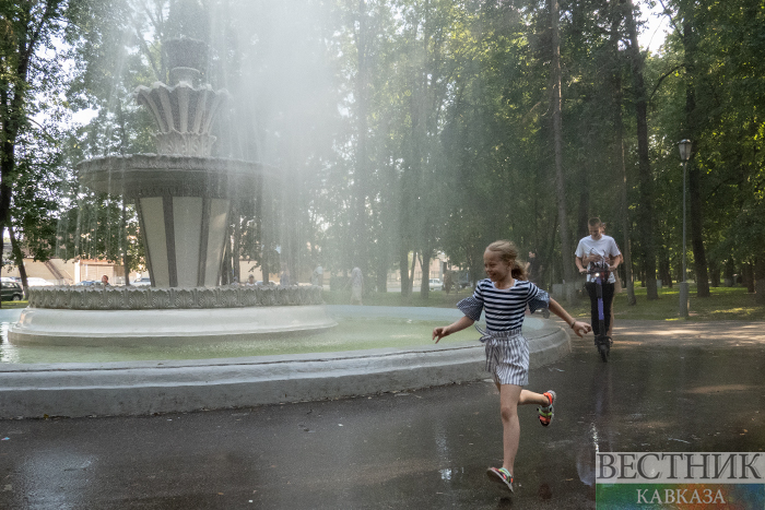 ����: vestikavkaza.ru
