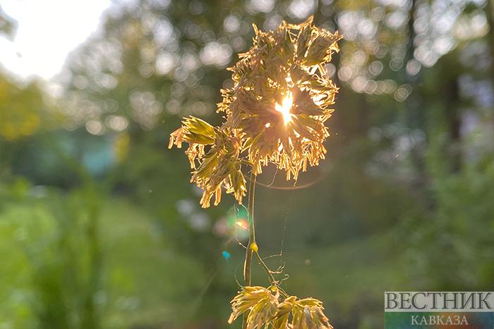 ����: vestikavkaza.ru