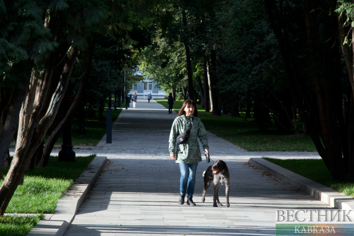����: vestikavkaza.ru