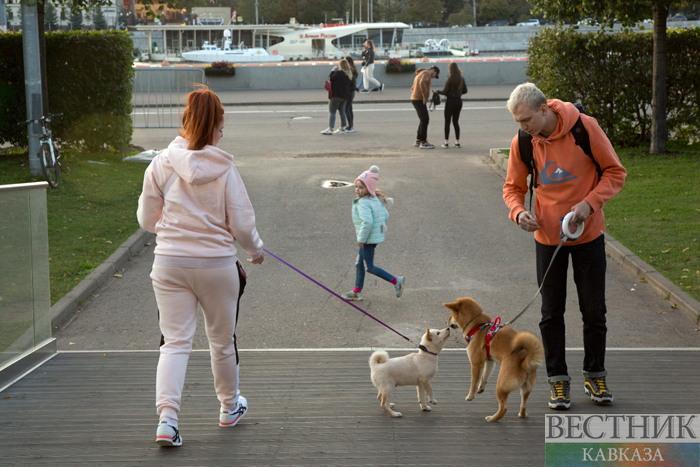 ����: vestikavkaza.ru