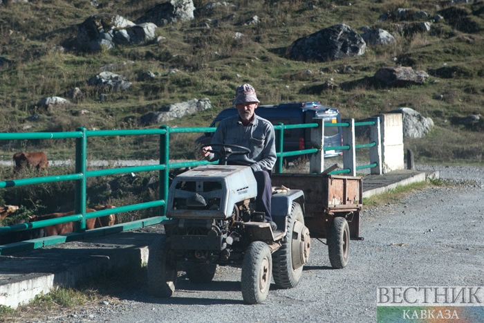 ����: vestikavkaza.ru