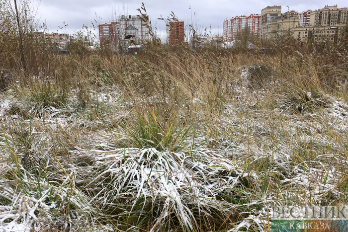 ����: vestikavkaza.ru