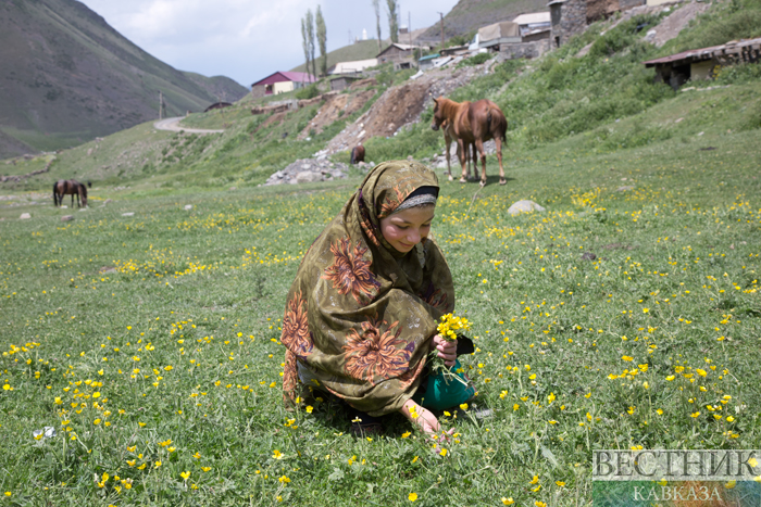����: vestikavkaza.ru