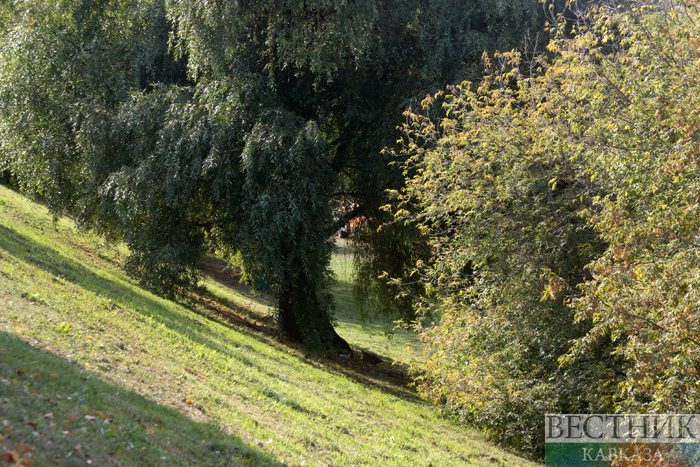 ����: vestikavkaza.ru