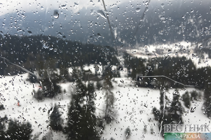 ����: vestikavkaza.ru