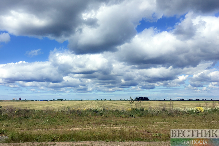 ����: vestikavkaza.ru