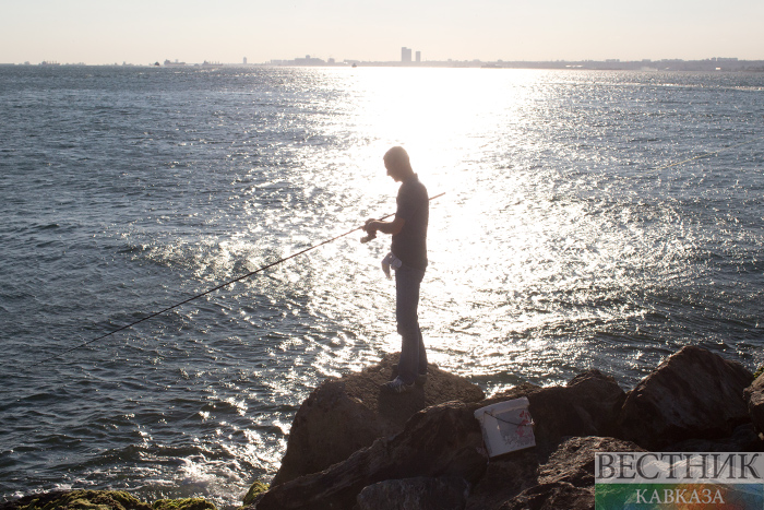 ����: vestikavkaza.ru