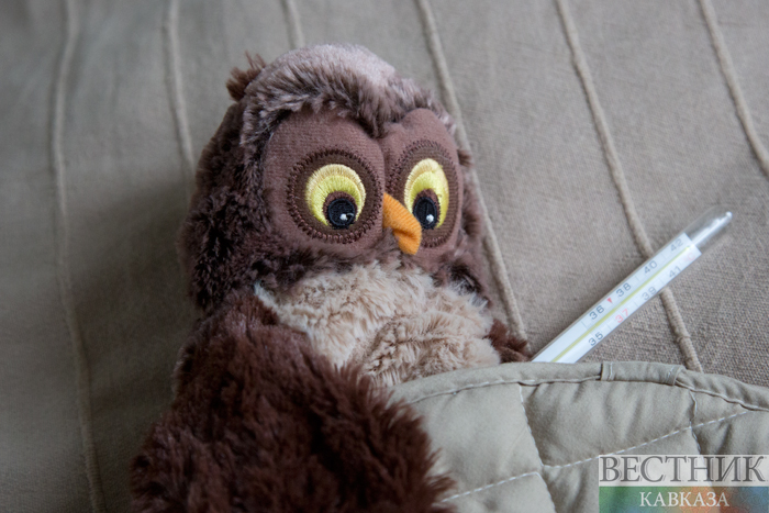 Фото: vestikavkaza.ru