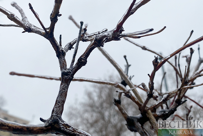 ����: vestikavkaza.ru