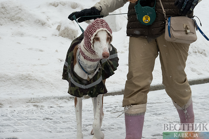 ����: vestikavkaza.ru