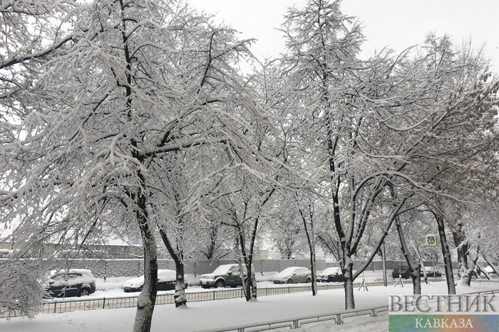 ����: vestikavkaza.ru