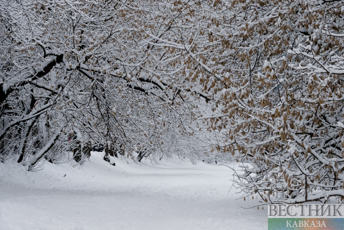 ����: vestikavkaza.ru