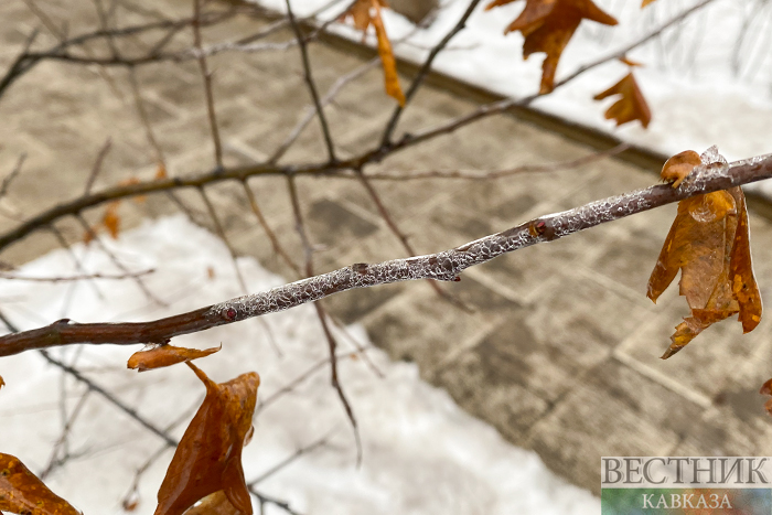 ����: vestikavkaza.ru