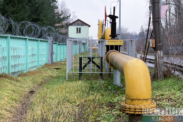 ����: vestikavkaza.ru