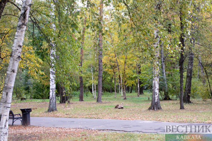 Фото: vestikavkaza.ru